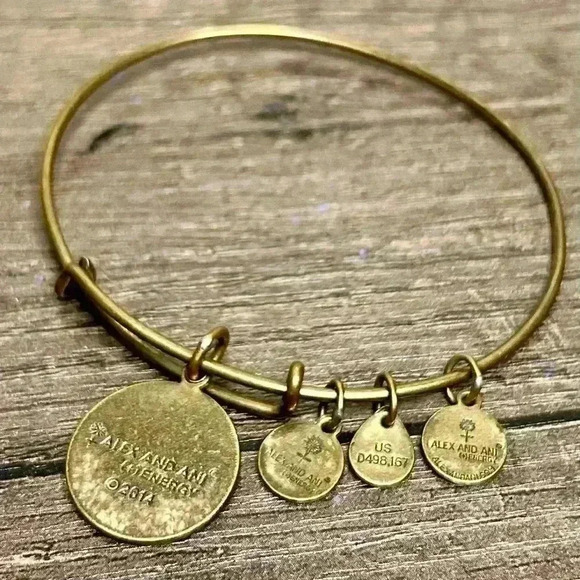 Alex and Ani (+) Energy 2014 Fleur De Lis Charm Bangle Bracelet - Picture 3 of 3